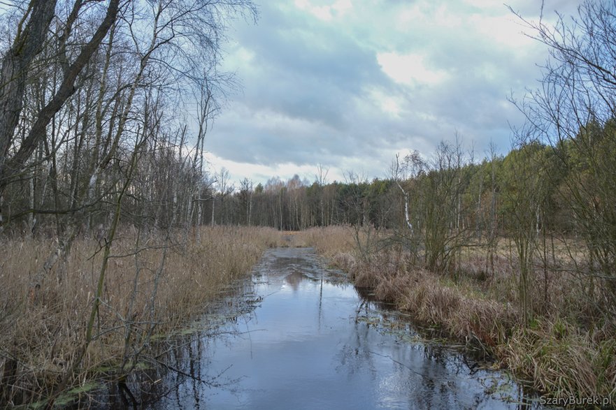 Opuszczona wieś Ławy