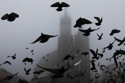 alert rcb dla czterech województw. ostrzegają przed wychodzeniem z dom