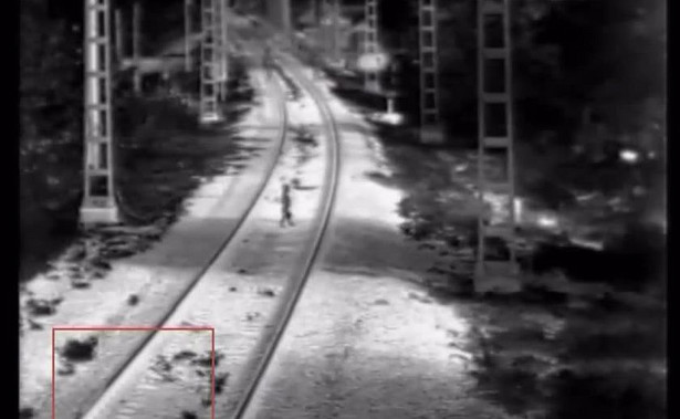 3-letni chłopiec cudem uniknął śmierci pod kołami pociągu. Strażnik zdążył w ostatniej chwili