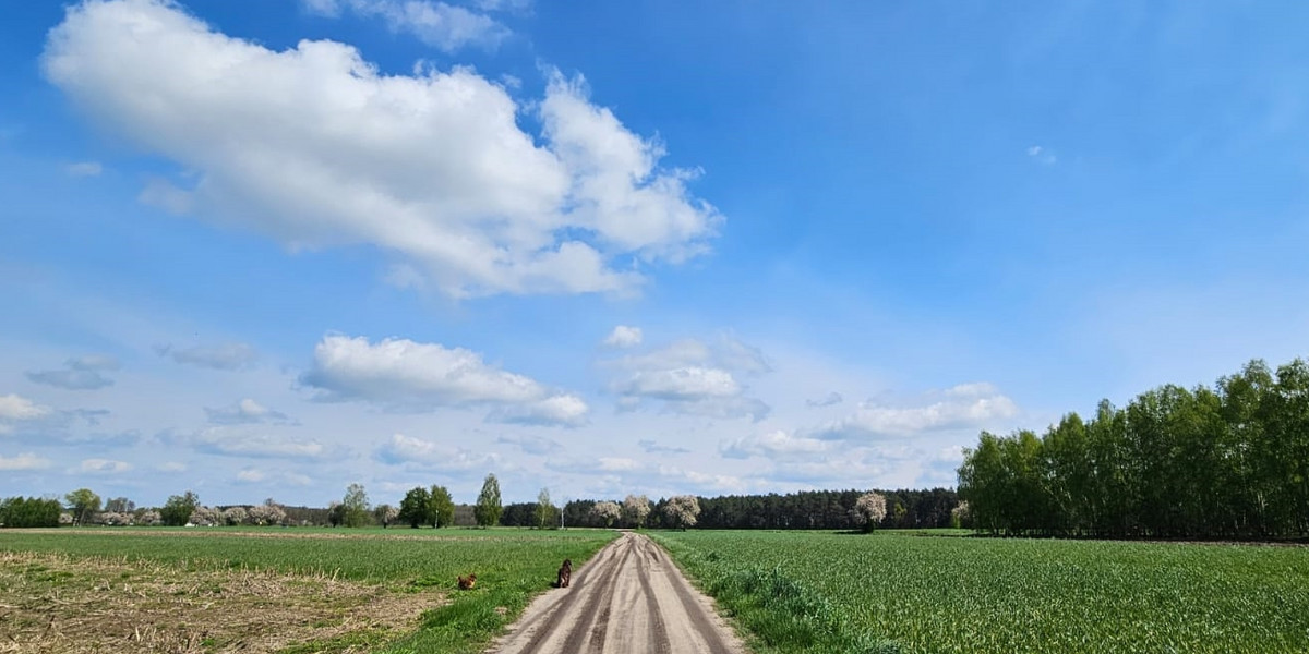 Wracają: słońce i ciepło. 