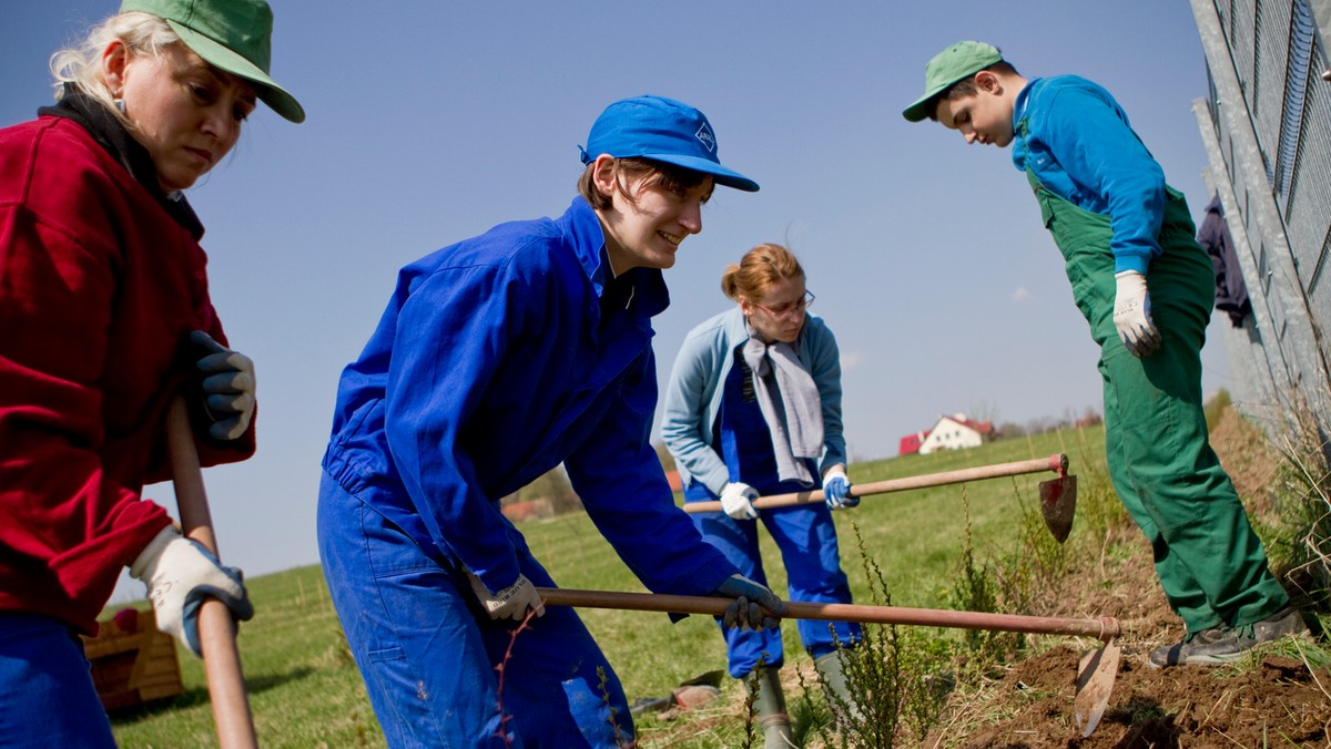 "Kraina OZA" to innowacyjny projekt Fundacji Wspólnota Nadziei z Więckowic pod Krakowem, która od 1998 roku działa na rzecz osób dorosłych z autyzmem i ich rodzin. Nazwa pochodzi od pierwszych liter słów: Kariera Rozwój Aktywizacja Innowacyjność Niezależność Akceptacja Osób z Autyzmem – i kryje się za nią platforma internetowa służąca włączeniu i aktywizacji: społecznej i zawodowej tej grupy osób.