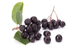 Aronia – lek na choroby cywilizacyjne. Do czego można dodawać sok z aronii?