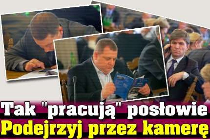 Tak "pracują" posłowie. Podejrzyj ich przez kamerę