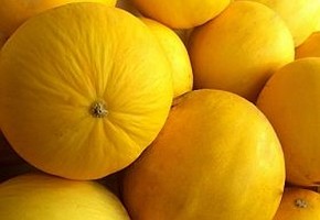 sargadinnye-d000010B81725b49e3202