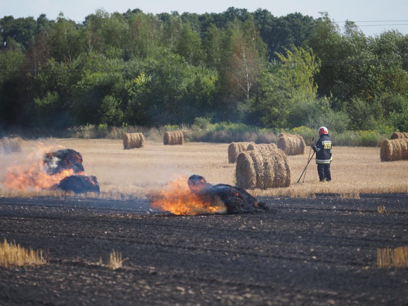 Pożar ścierniska. To podpalenie