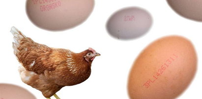 Jak kupić dobre jajko?