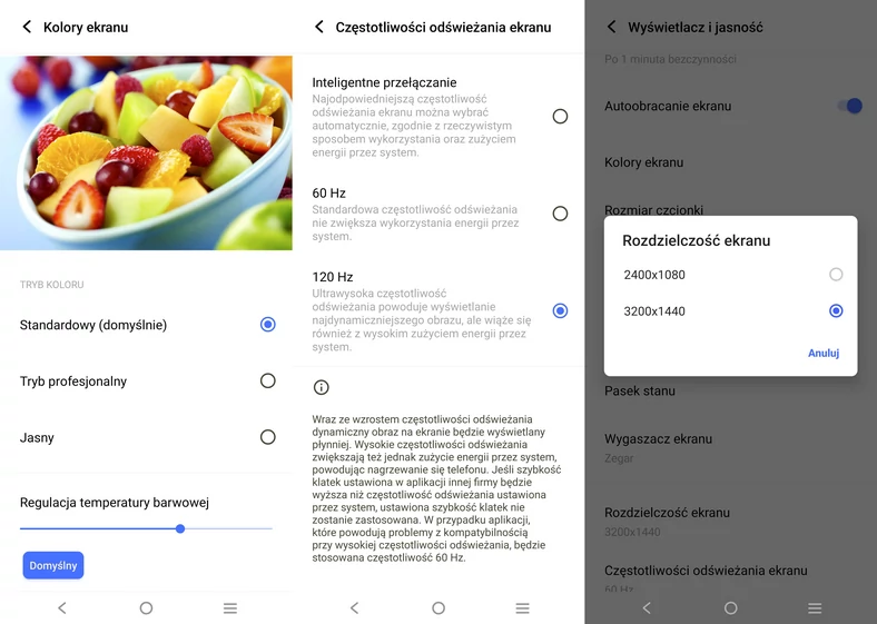 Podstawowe ekrany ustawień wyświetlacza w menu X80 Pro (kliknij, aby powiększyć)