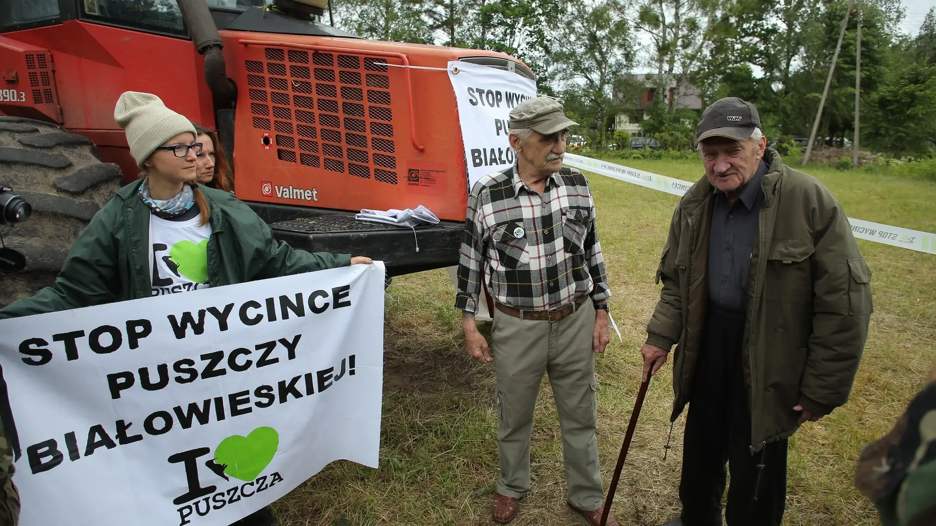 W wycince chodzi tylko o kasę? Przez Warszawę przejdzie Marsz dla Puszczy