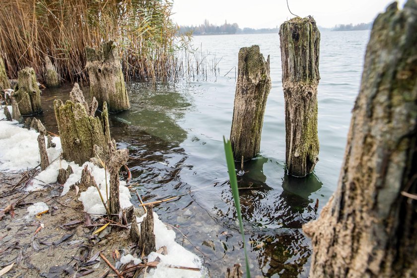 Woda opadła i ukazało się coś niesamowitego