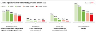 Liczba wydanych wiz uprawniających do pracy