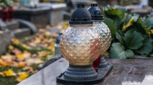 Morawiecki: Żałuję czasowego zamknięcia w epidemii parków i cmentarzy