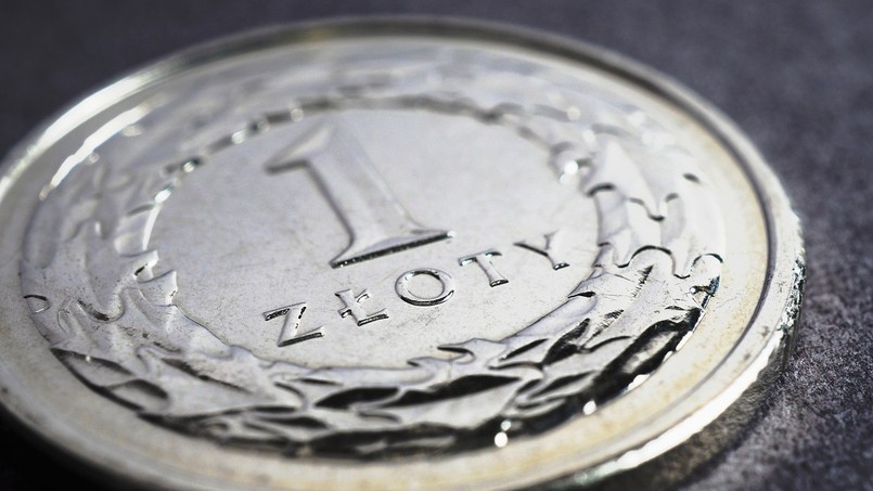 złotówka złoty pln złp zł moneta monety pieniądz pieniądze wynagrodzenia emerytury renty zasiłki dodacje subwencje donacje kontrybucje