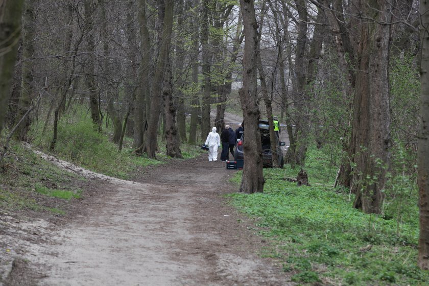 Ciało 5-letniej dziewczynki znaleziono w parku w Gdańsku Brzeźnie przy ul. Krasickiego