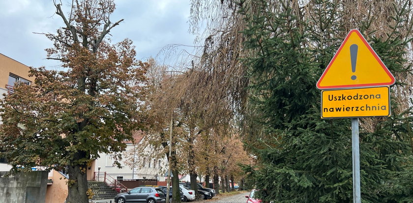 Znikną kocie łby. Pawia wreszcie będzie mogła być dumna!