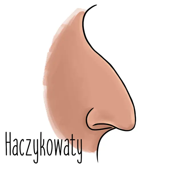 6-haczykowaty