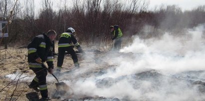 Wandale spalili platformę widokową