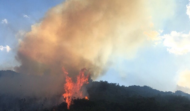 Tivat Crna Gora Požar Vatra Luštice