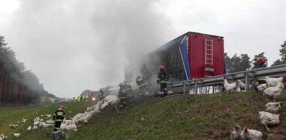 Setki indyków i kurczaków zginęło w płomieniach