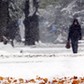 śnieg zakopane