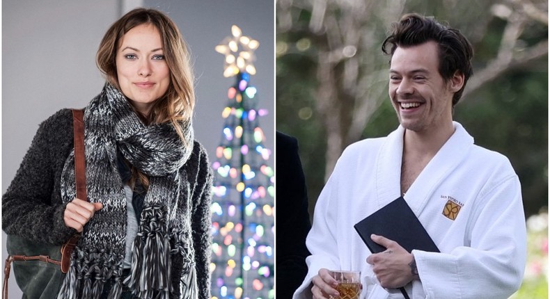 American actress Olivia Wilde and music star Harry Styles [Instagram/OliviaWildeLand]