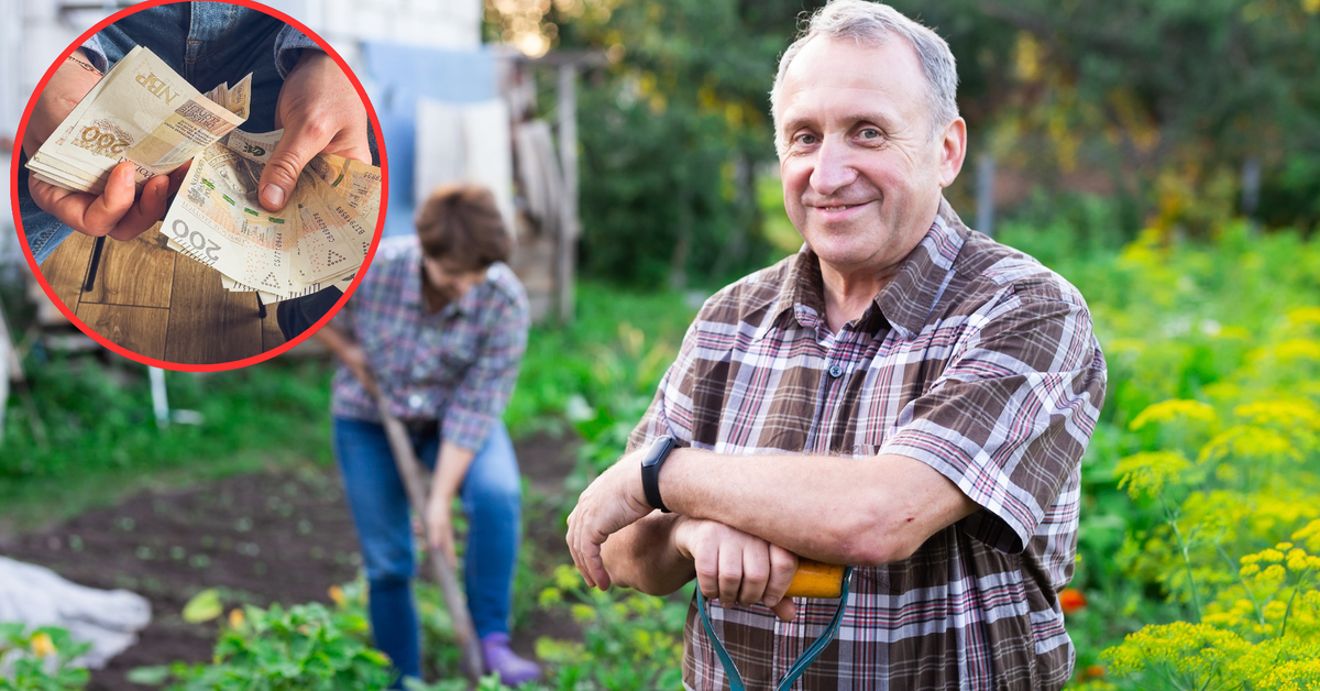 Rolnicy otrzymają 2400 zł za każdy hektar. Nowa dopłata za utracone korzyści. Wnioski o wypłatę świadczenia od 1 grudnia