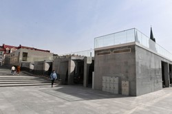 Wycinaj, betonuj, sadź. Czy miastom się opłaca inwestować w zieleń?