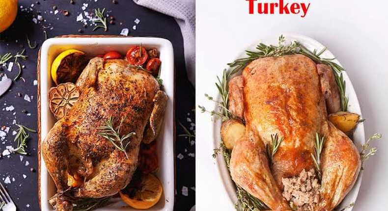 Turkey vs Chicken