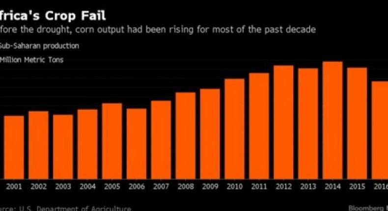 The situation may be the worst since sub-Saharan Africa’s last major food crisis in 2002-2003, with 28 million people already contending with hunger, according to January figures provided by the UN’s humanitarian affairs agency.