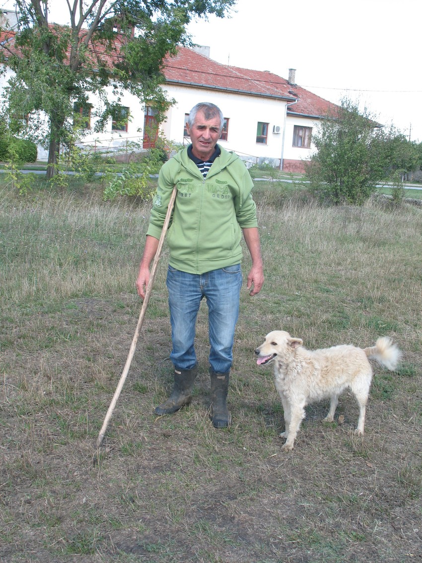 Bora i omiljeni mu pulin