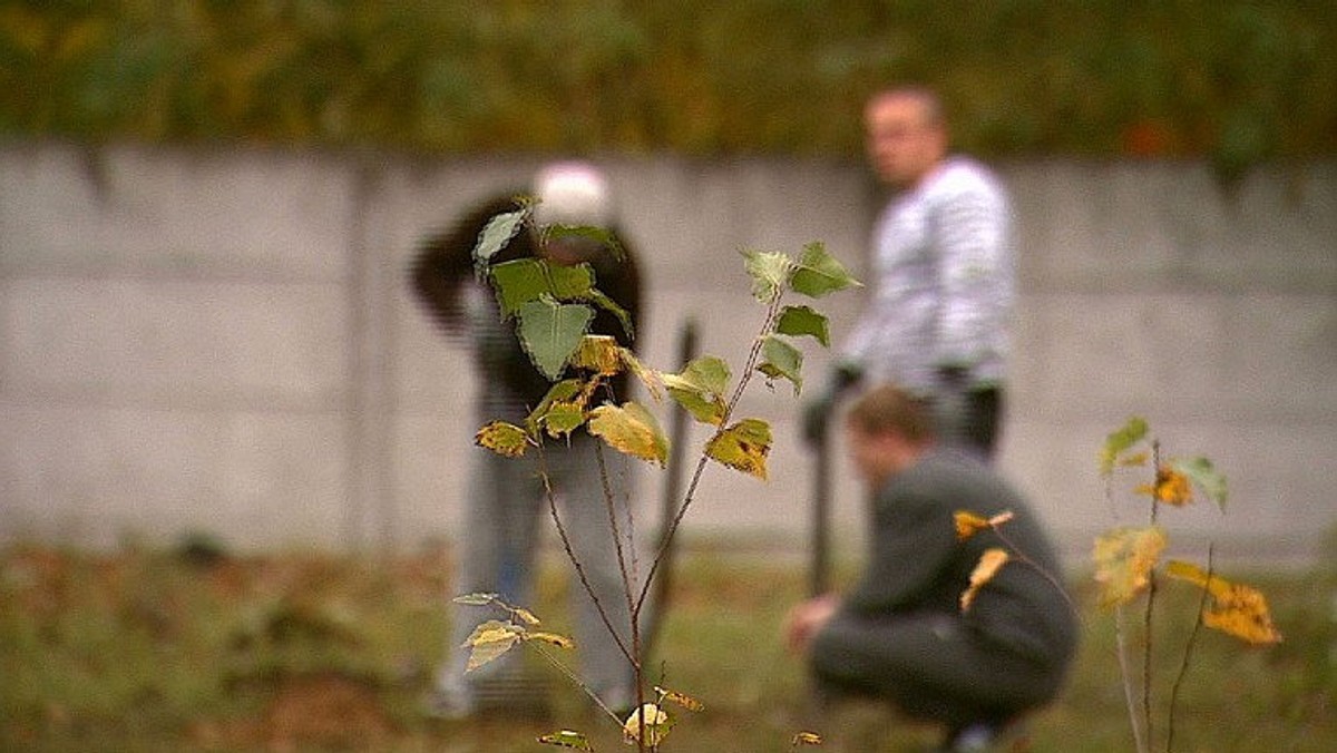 Więźniowie Zakładu Karnego w Wojkowicach odbywają kilkanaście szkoleń w roku. Wśród zajęć prace ręczne, szkolenia psów, wspólne koncerty czy sadzenie drzewek. To pozwala na nowo nauczyć osadzonych życia w społeczeństwie - podaje Telewizja Silesia.