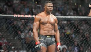 Francis Ngannou a l'embarras du choix depuis son départ de l'UFC Abaca  Icon Sport