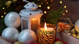 horoskop wigilijny na środę 24 grudnia 2025 r. - praktyczne rady i rytuały na świąteczny wieczór