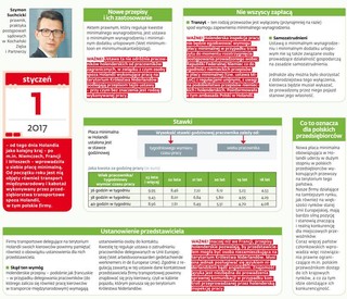 Płaca minimalna w Holandii. Kolejny problem dla branży transportowej