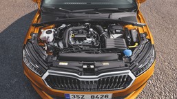 zwrot ws. zakazu aut spalinowych. jakie zmiany? polska i niemcy świętują