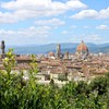 Firenca