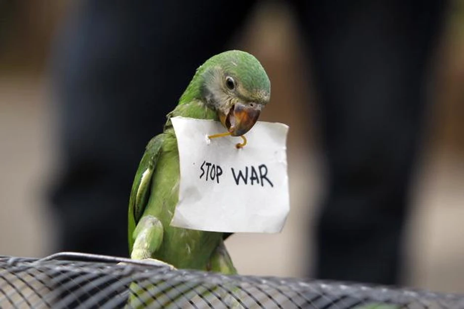 Do 2050. duplo manje ratova