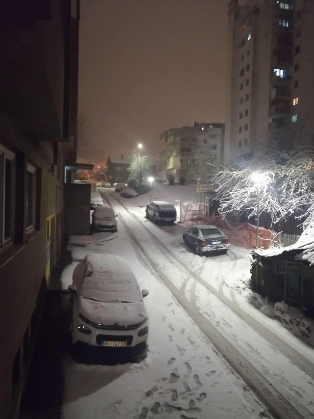 Sneg u Boru