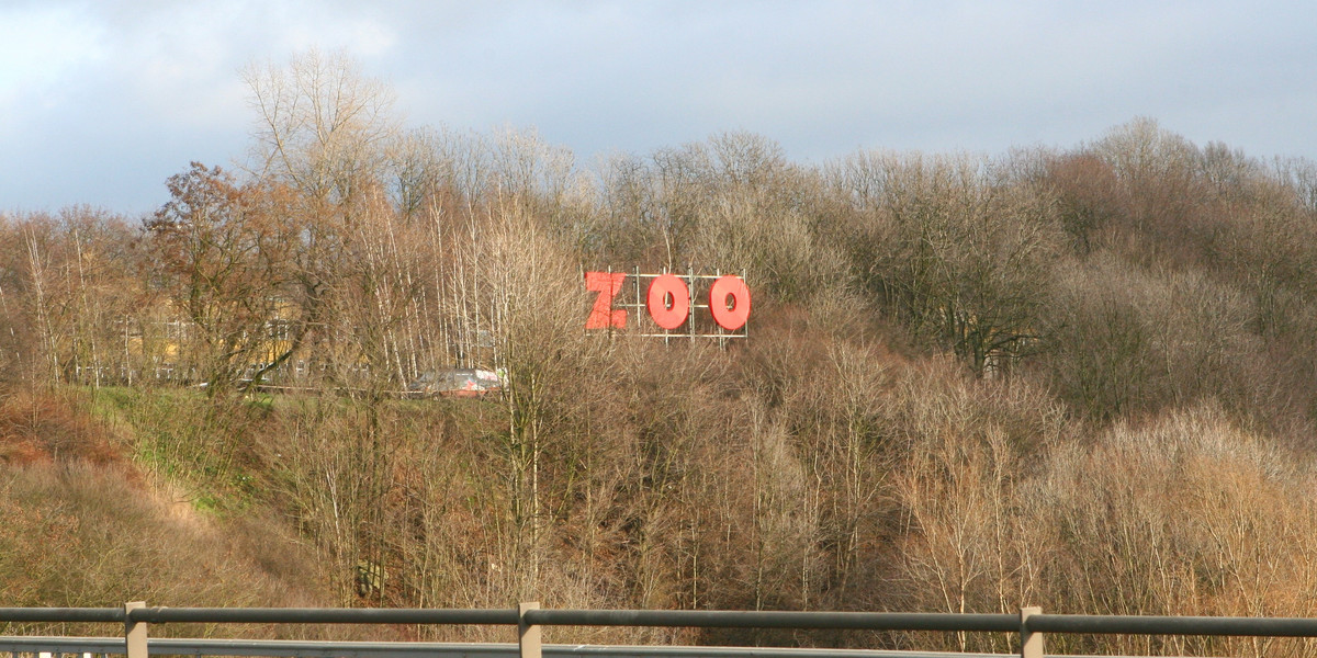 W płockim zoo urodził się niezwykły okaz.