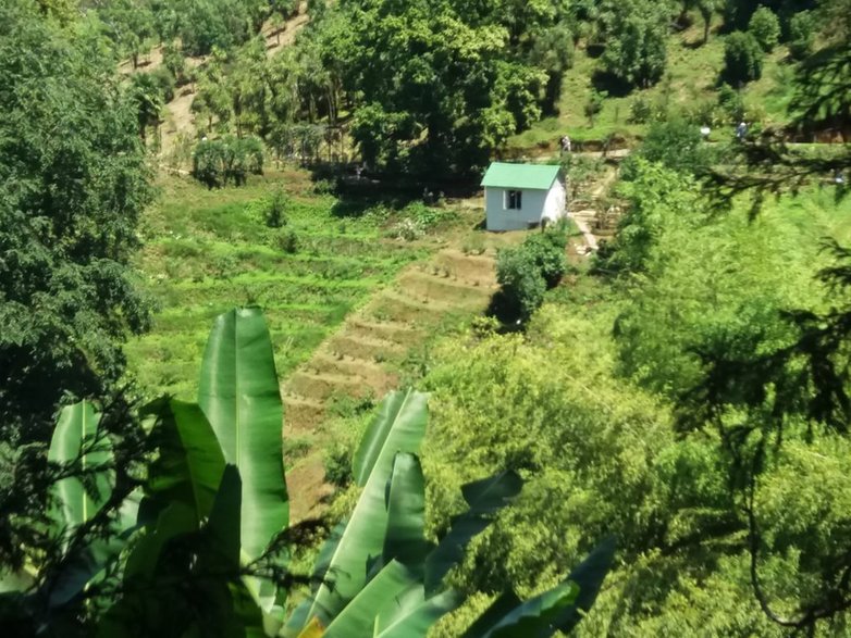 Ogród Botaniczny w Batumi