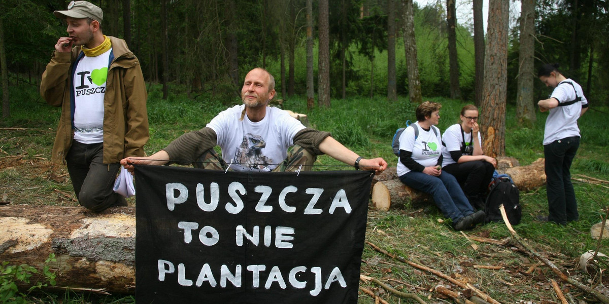 Jest decyzja Unii ws. Puszczy Białowieskiej 