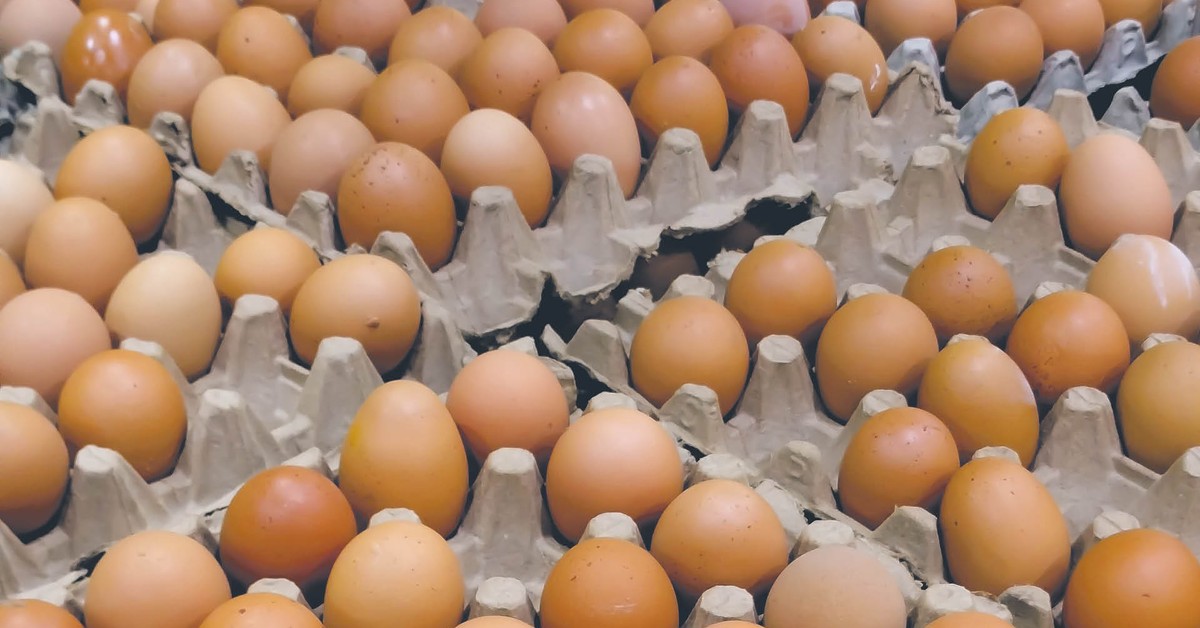Retail chains import eggs from abroad. However, they do not inform consumers about this!