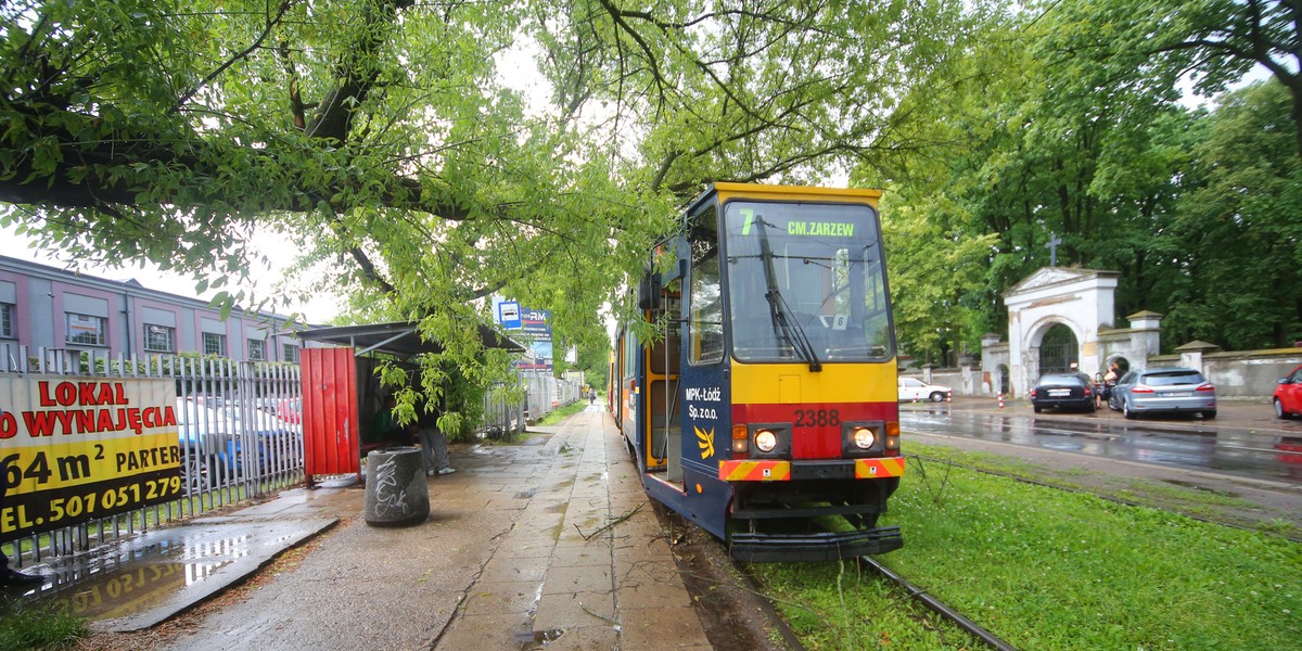 Burza w Łodzi. Na Srebrzyńskiej drzewo spadło na tramwaj. Objazdy