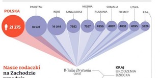 Socjal - lek na demograficzną zapaść. Na Zachodzie rodzi się coraz więcej Polaków