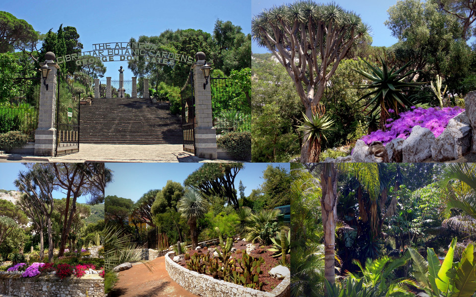 Gibraltar, Ogród Botaniczny Alameda