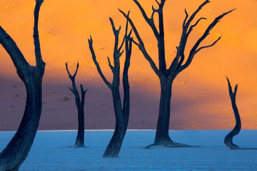 Dead Vlei