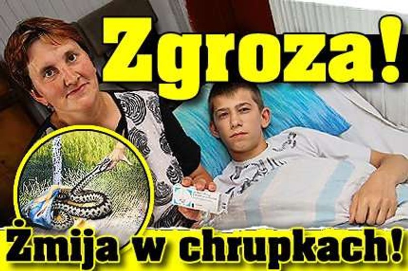 Szok! Żmija w chrupkach!