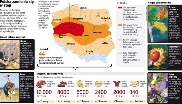 W Polsce zaczyna brakować wody