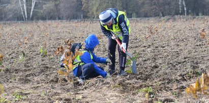 Posadzili las dla Olgi Tokarczuk na nowohuckich Kujawach