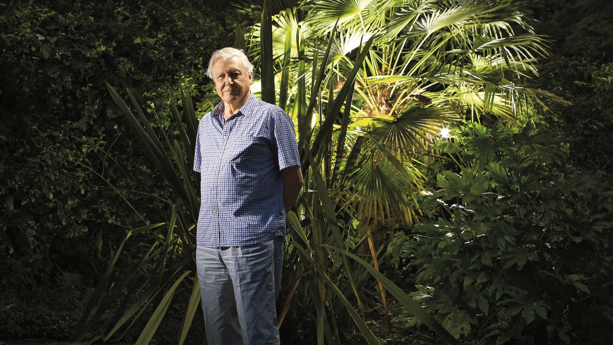 David Attenborough