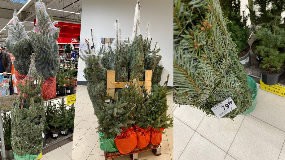 Markety także oferują już świąteczne drzewka